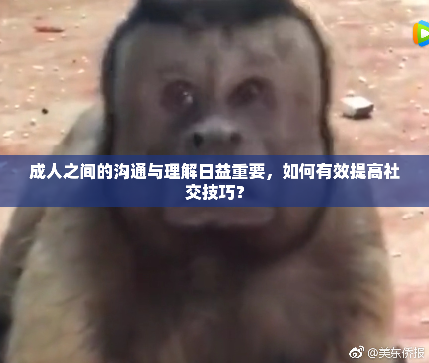 成人之间的沟通与理解日益重要，如何有效提高社交技巧？