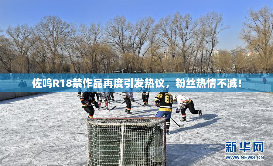 佐鸣R18禁作品再度引发热议，粉丝热情不减！