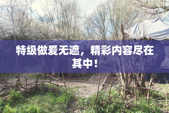特级做爰无遮，精彩内容尽在其中！