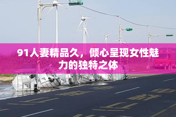 91人妻精品久，倾心呈现女性魅力的独特之体