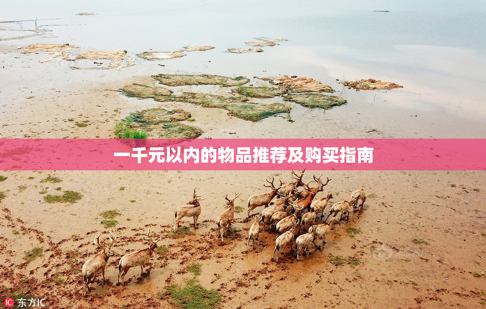 一千元以内的物品推荐及购买指南