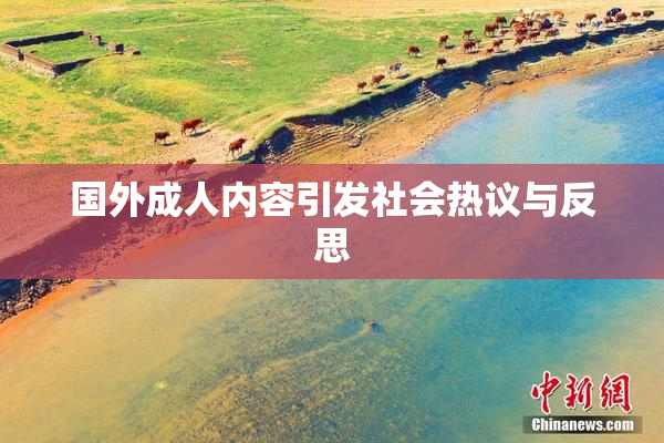 国外成人内容引发社会热议与反思
