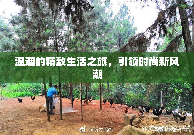 温迪的精致生活之旅，引领时尚新风潮