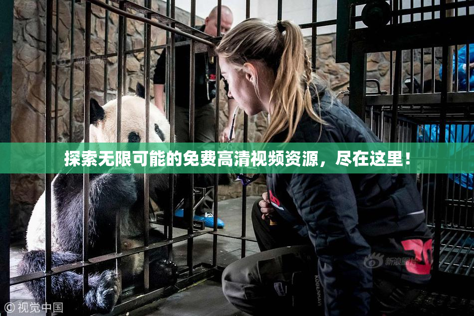 探索无限可能的免费高清视频资源，尽在这里！