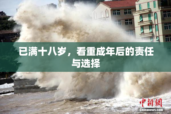 已满十八岁，看重成年后的责任与选择