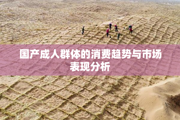 国产成人群体的消费趋势与市场表现分析