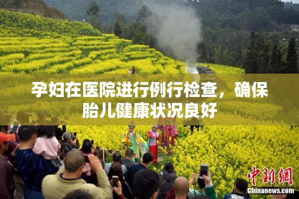 孕妇在医院进行例行检查，确保胎儿健康状况良好