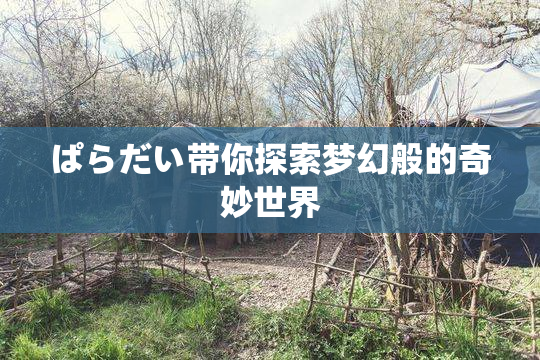ぱらだい带你探索梦幻般的奇妙世界