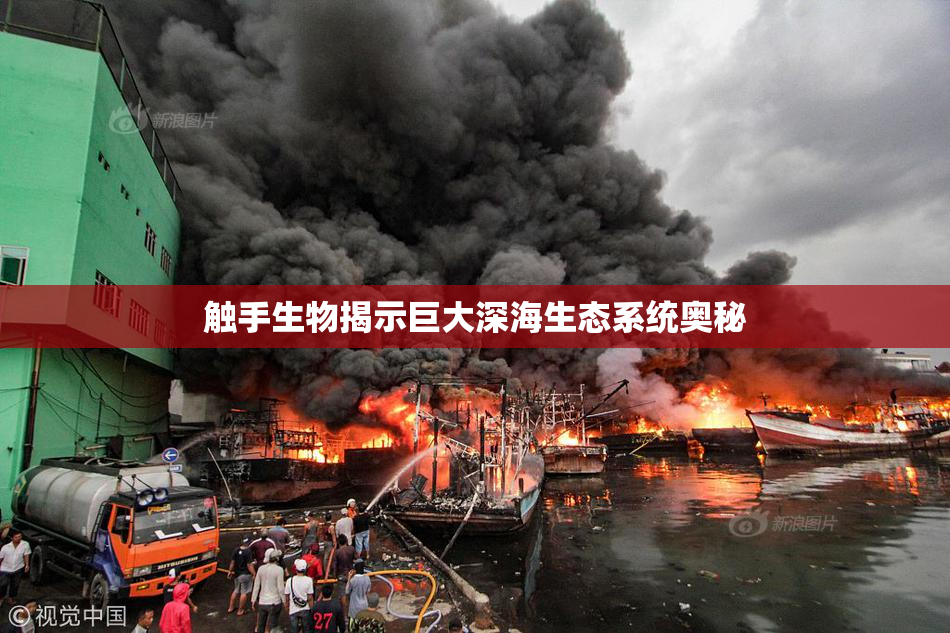 触手生物揭示巨大深海生态系统奥秘
