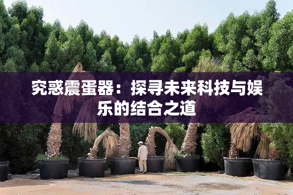 究惑震蛋器：探寻未来科技与娱乐的结合之道
