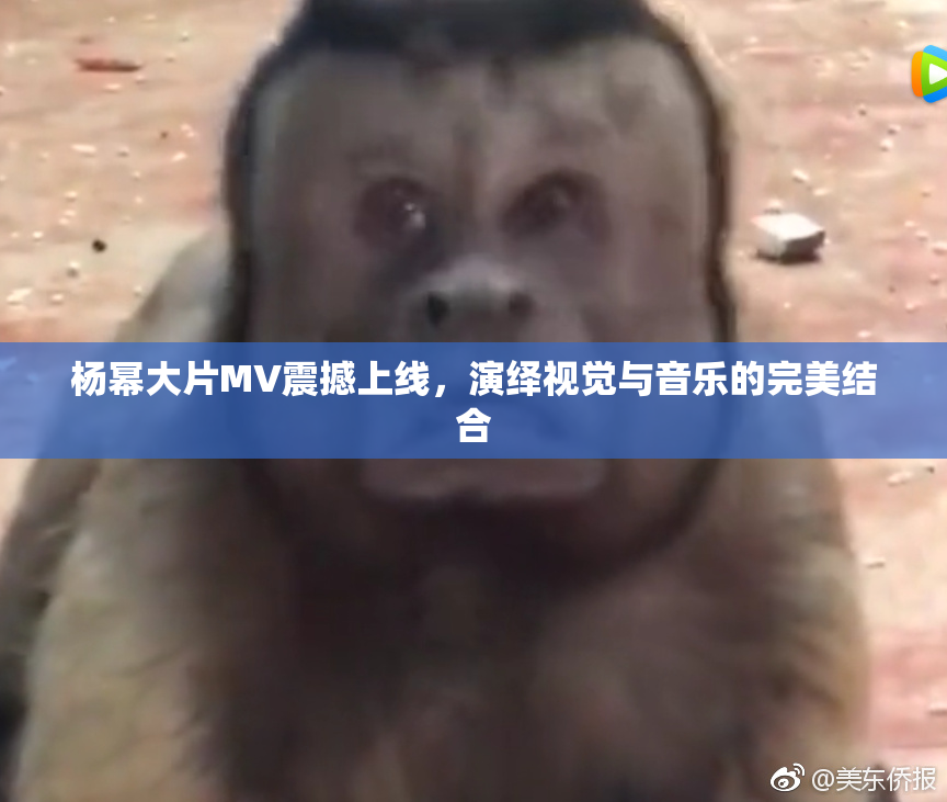 杨幂大片MV震撼上线，演绎视觉与音乐的完美结合