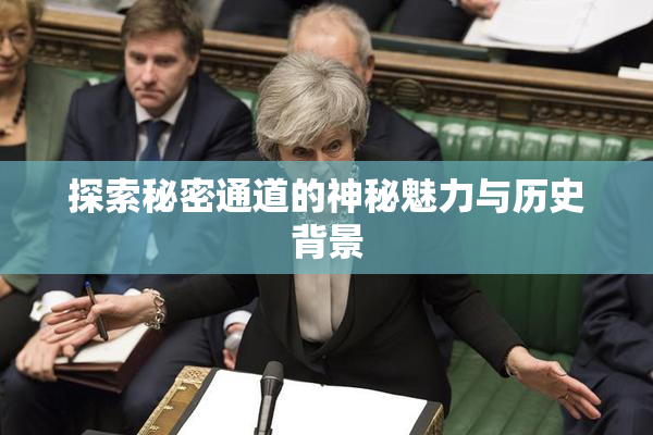 探索秘密通道的神秘魅力与历史背景