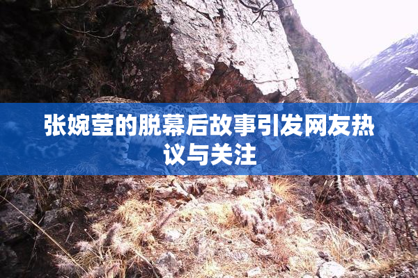 张婉莹的脱幕后故事引发网友热议与关注