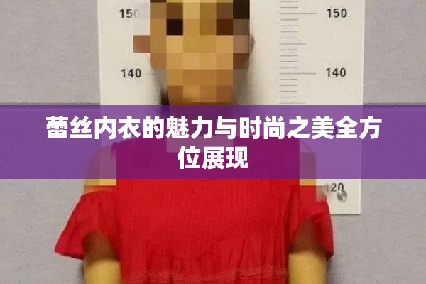 蕾丝内衣的魅力与时尚之美全方位展现