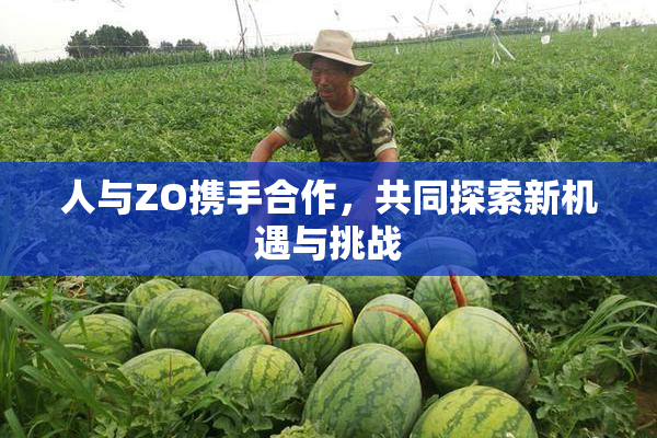 人与ZO携手合作，共同探索新机遇与挑战