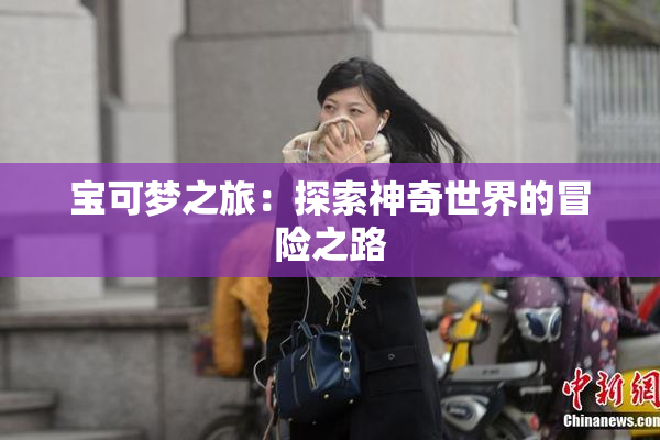 宝可梦之旅：探索神奇世界的冒险之路