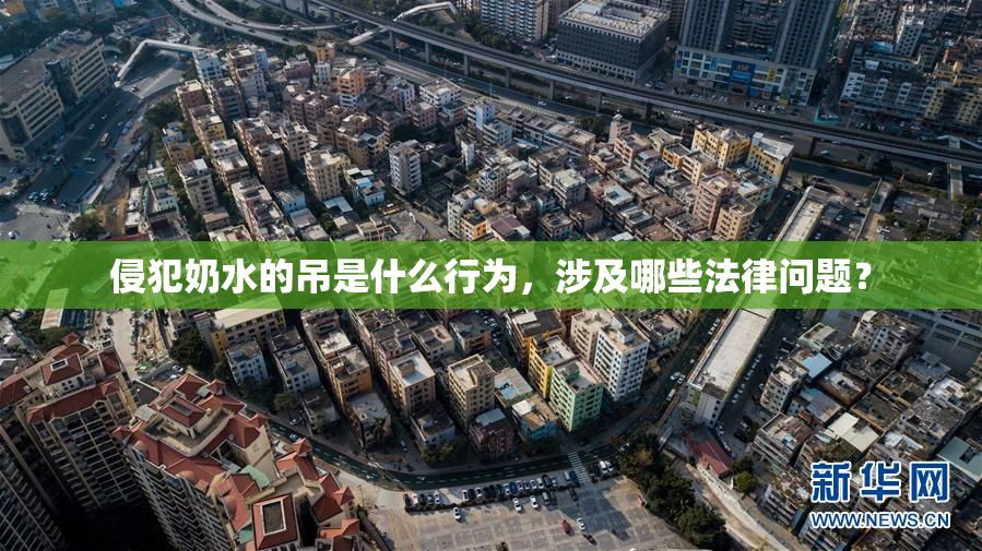 侵犯奶水的吊是什么行为，涉及哪些法律问题？
