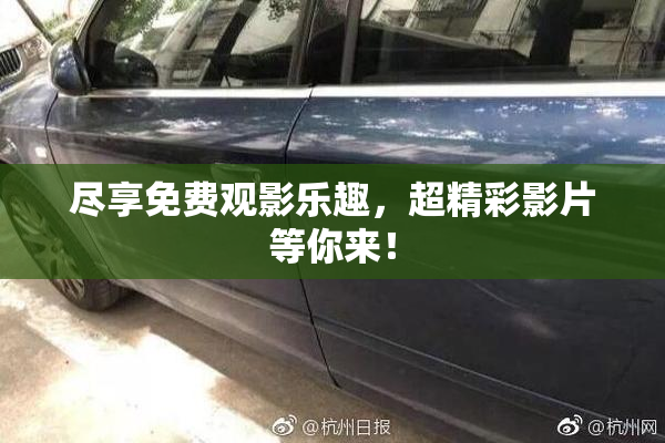 尽享免费观影乐趣，超精彩影片等你来！