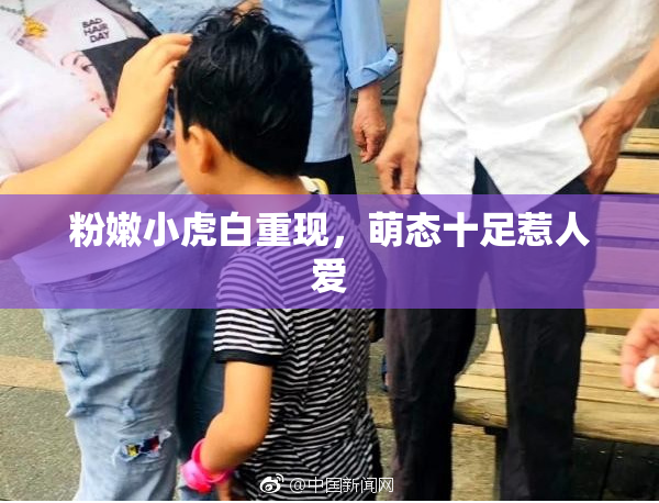 粉嫩小虎白重现，萌态十足惹人爱