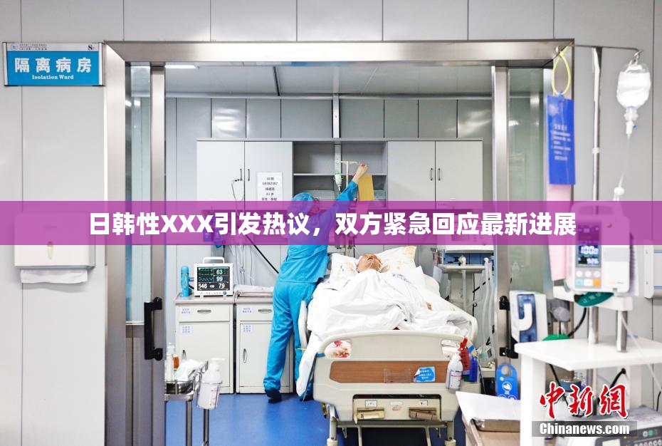日韩性XXX引发热议，双方紧急回应最新进展