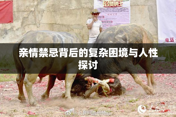 亲情禁忌背后的复杂困境与人性探讨