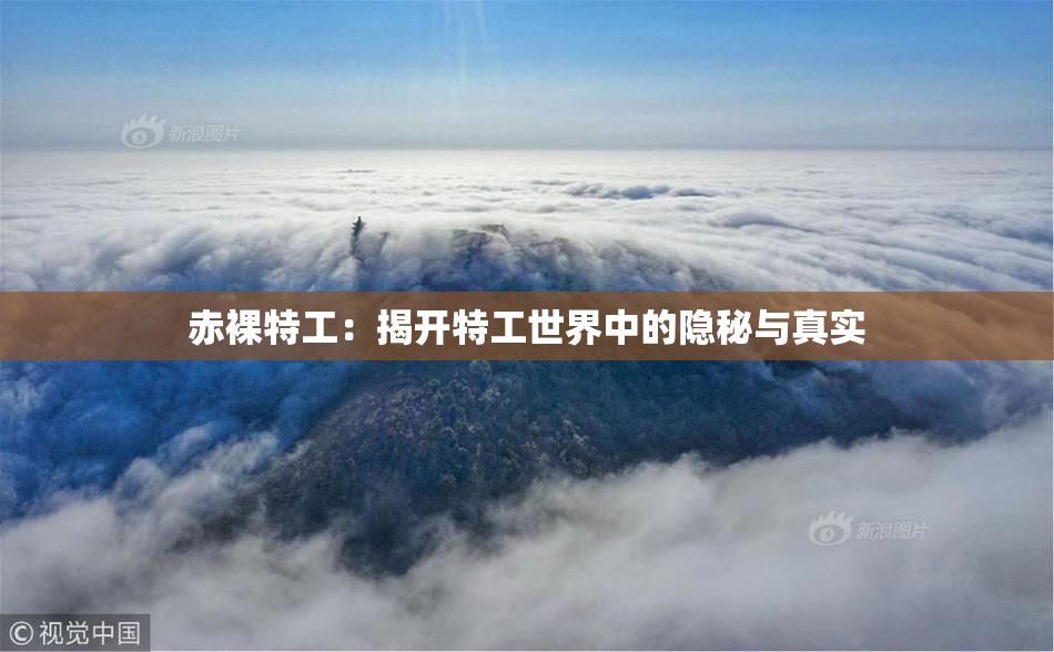赤裸特工：揭开特工世界中的隐秘与真实