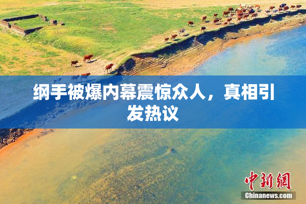 纲手被爆内幕震惊众人，真相引发热议