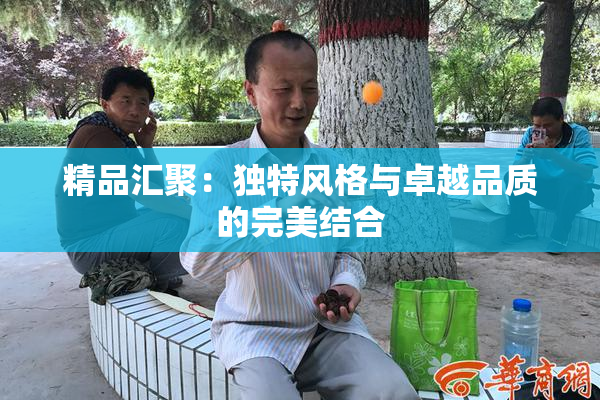精品汇聚：独特风格与卓越品质的完美结合