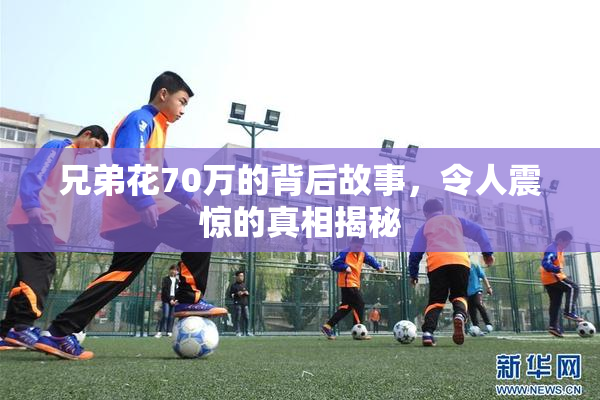 兄弟花70万的背后故事，令人震惊的真相揭秘