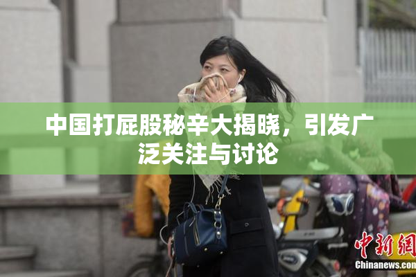 中国打屁股秘辛大揭晓，引发广泛关注与讨论