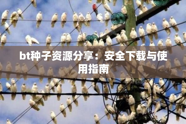 bt种子资源分享：安全下载与使用指南