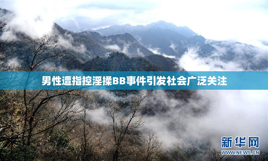 男性遭指控淫揉BB事件引发社会广泛关注