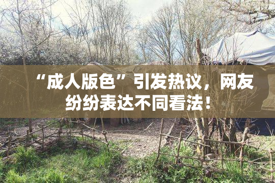 “成人版色”引发热议，网友纷纷表达不同看法！