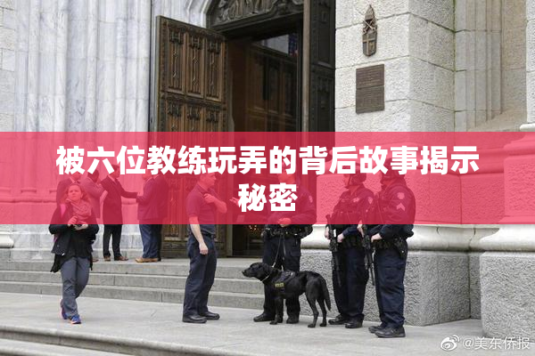 被六位教练玩弄的背后故事揭示秘密