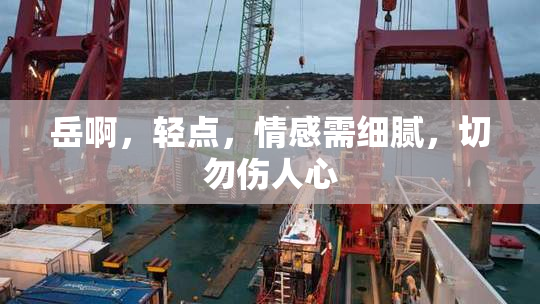 岳啊，轻点，情感需细腻，切勿伤人心