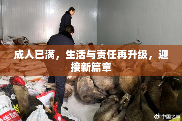 成人已满，生活与责任再升级，迎接新篇章