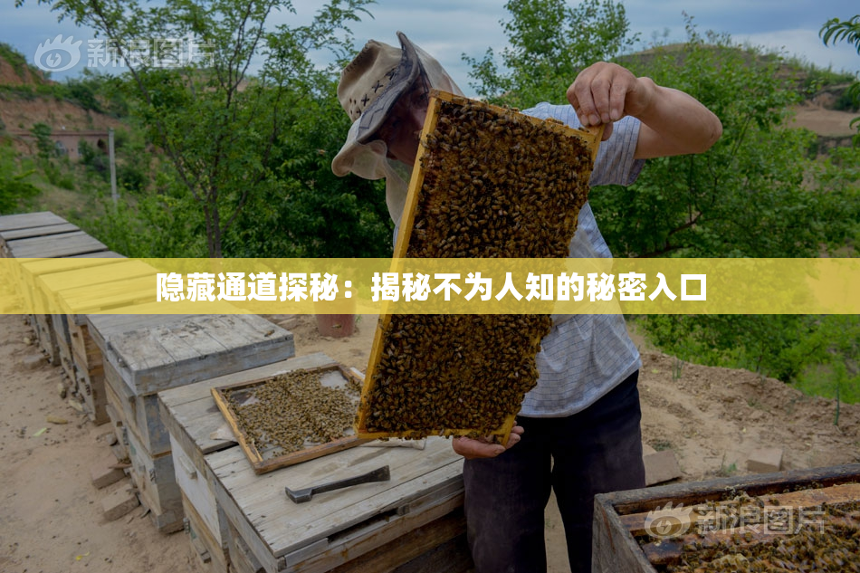 隐藏通道探秘：揭秘不为人知的秘密入口