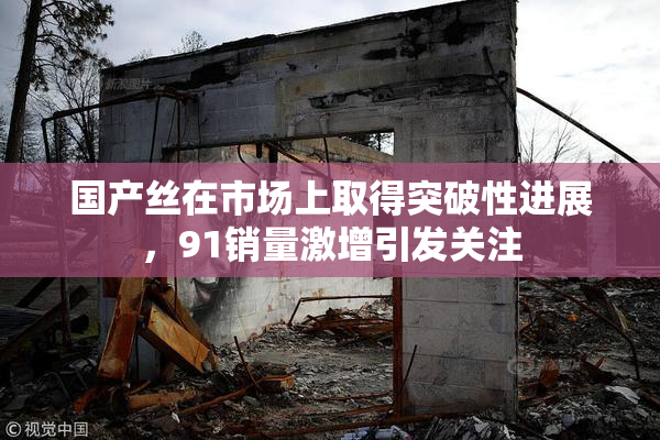 国产丝在市场上取得突破性进展，91销量激增引发关注