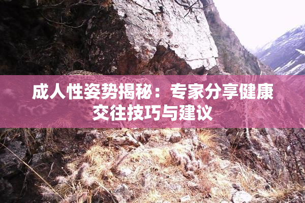 成人性姿势揭秘：专家分享健康交往技巧与建议