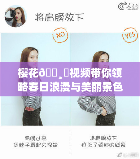 樱花🌸‌视频带你领略春日浪漫与美丽景色