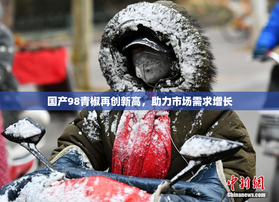 国产98青椒再创新高，助力市场需求增长