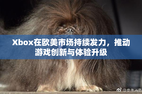 Xbox在欧美市场持续发力，推动游戏创新与体验升级