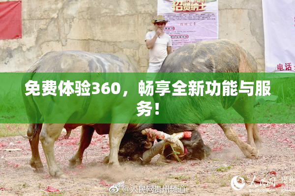 免费体验360，畅享全新功能与服务！