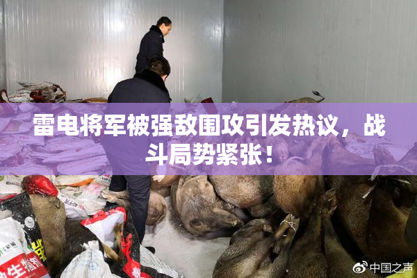 雷电将军被强敌围攻引发热议，战斗局势紧张！