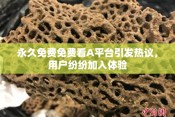 永久免费免费看A平台引发热议，用户纷纷加入体验