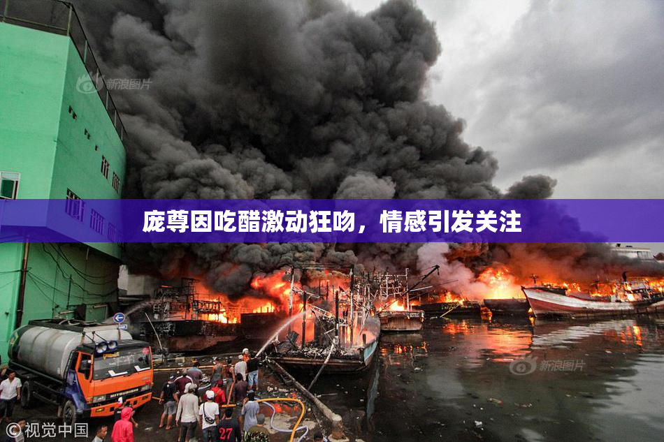 庞尊因吃醋激动狂吻，情感引发关注