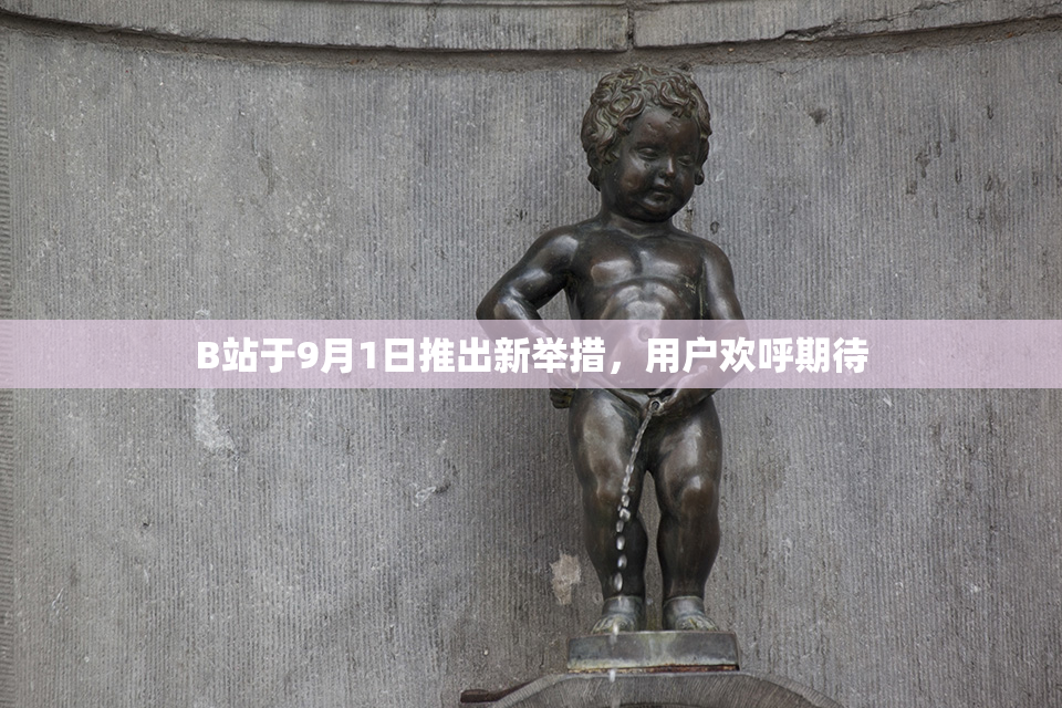 B站于9月1日推出新举措，用户欢呼期待