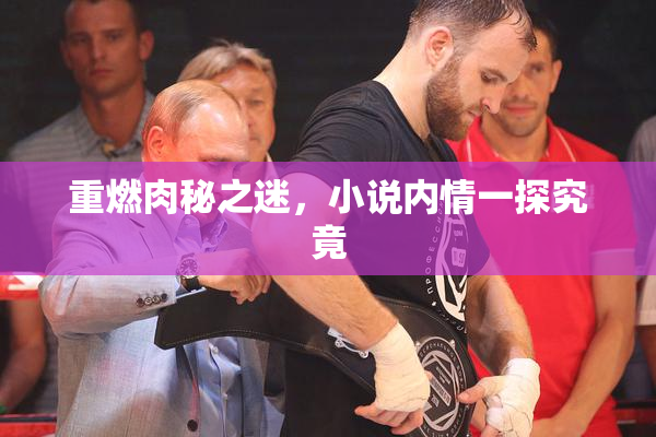 重燃肉秘之迷，小说内情一探究竟