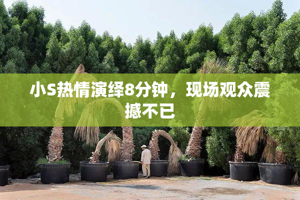 小S热情演绎8分钟，现场观众震撼不已