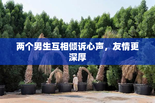 两个男生互相倾诉心声，友情更深厚